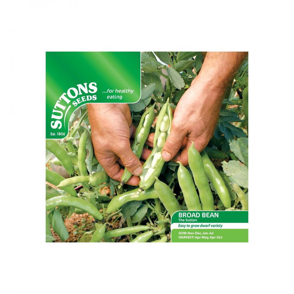 Suttons Broad Bean The Sutton Dwarf 194694 - SEED VEG & FLOWER - Beattys of Loughrea