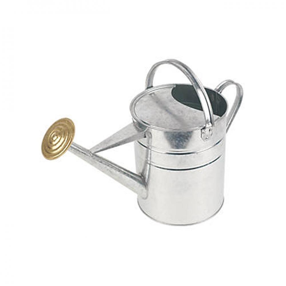 Galvanised Watering Can - 9ltr - WATERING CAN/SPRINKLER - Beattys of Loughrea