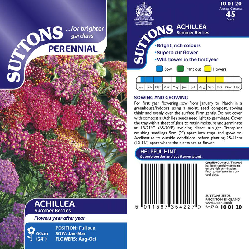 Suttons Achillea Summer Berries G100120 - SEED VEG & FLOWER - Beattys of Loughrea