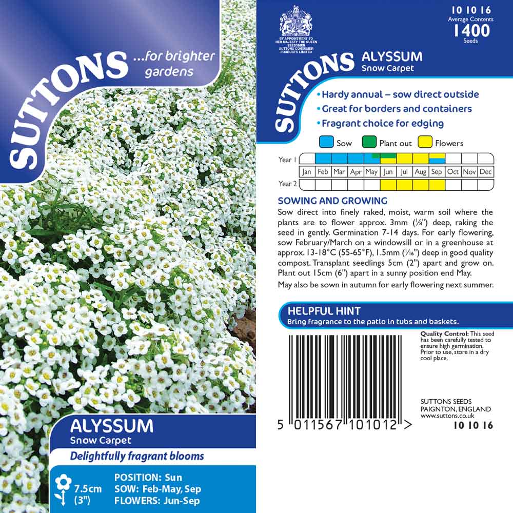 Suttons Alyssum Snow Carpet 101016 - SEED VEG & FLOWER - Beattys of Loughrea