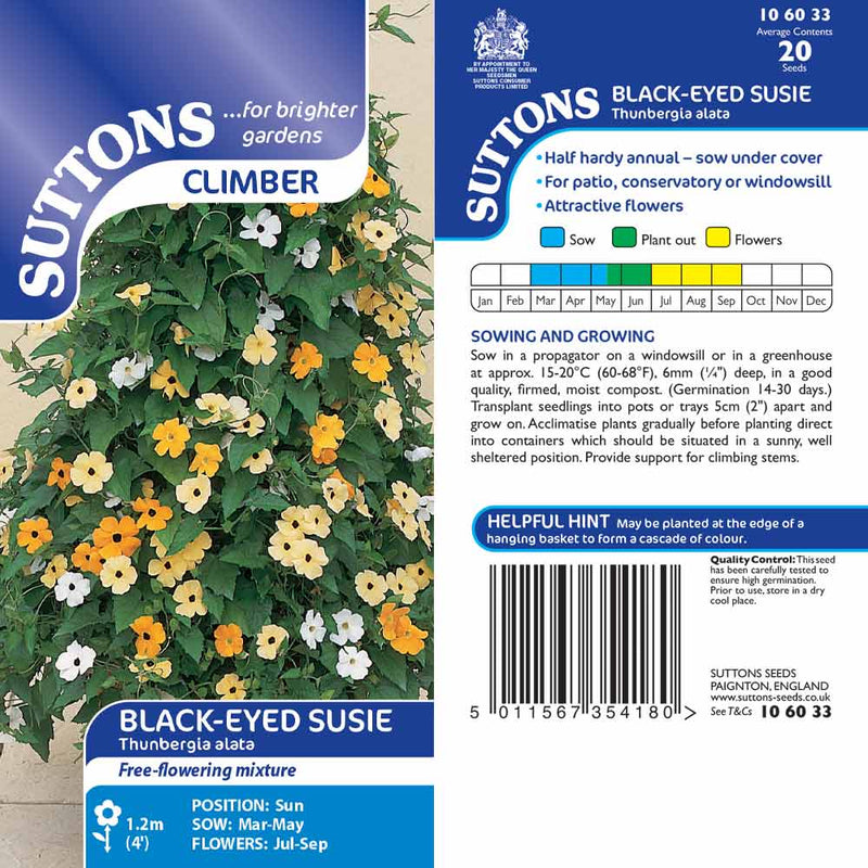 Suttons Black-Eyed Susie - SEED VEG & FLOWER - Beattys of Loughrea