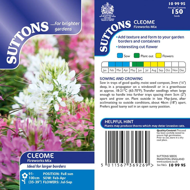 Suttons Cleome Fireworks Mix G109995 - SEED VEG & FLOWER - Beattys of Loughrea