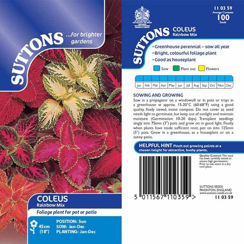 Suttons Coleus Rainbow Choice Mix 110359 - SEED VEG & FLOWER - Beattys of Loughrea