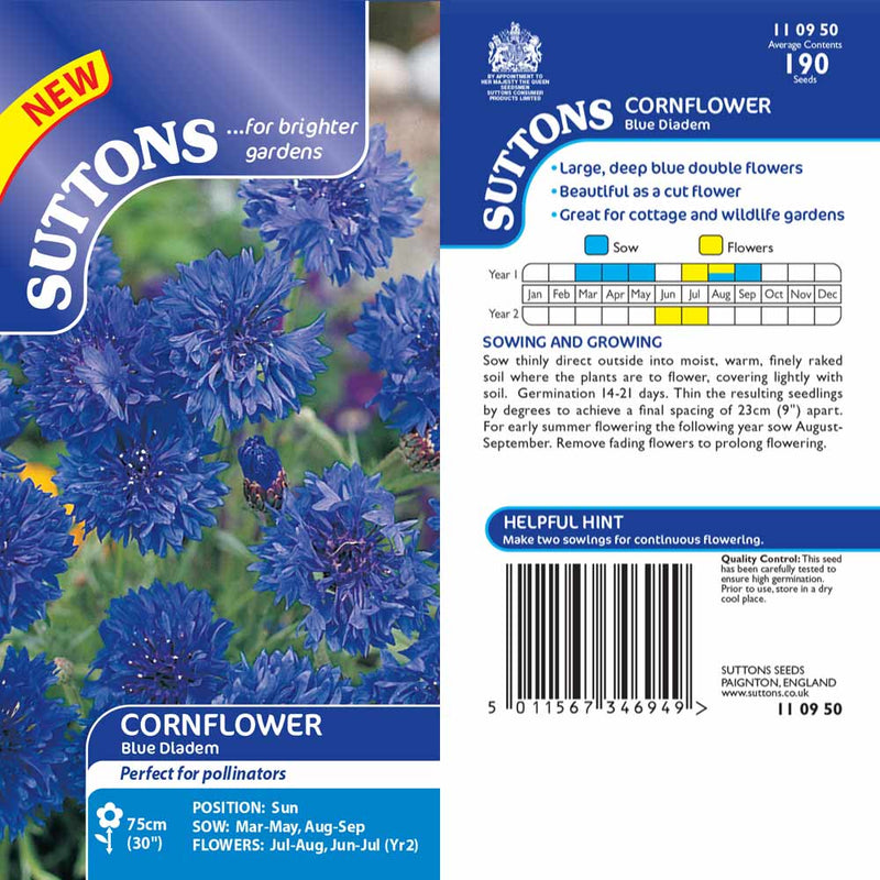 Suttons Cornflower Blue Diadem - SEED VEG & FLOWER - Beattys of Loughrea