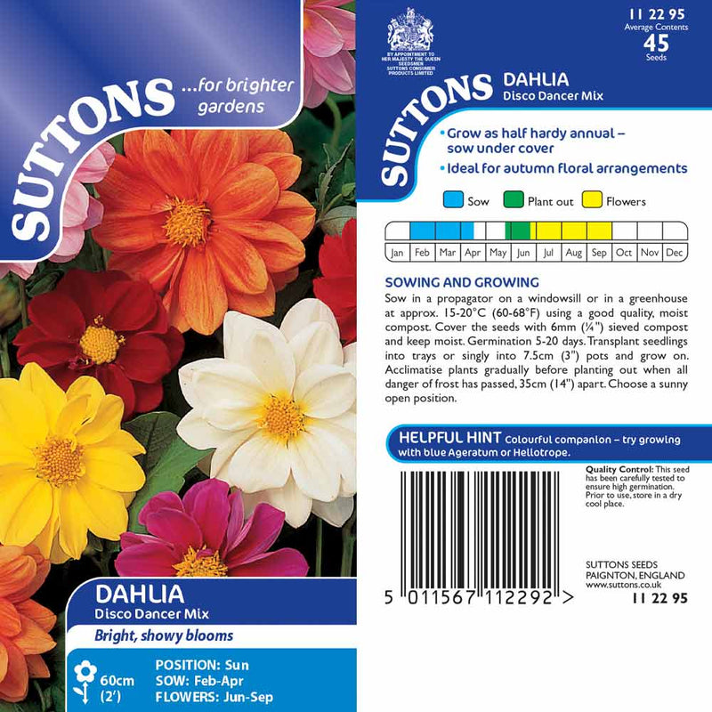 Suttons Dahlia Seeds - Disco Dancer Mix - SEED VEG & FLOWER - Beattys of Loughrea