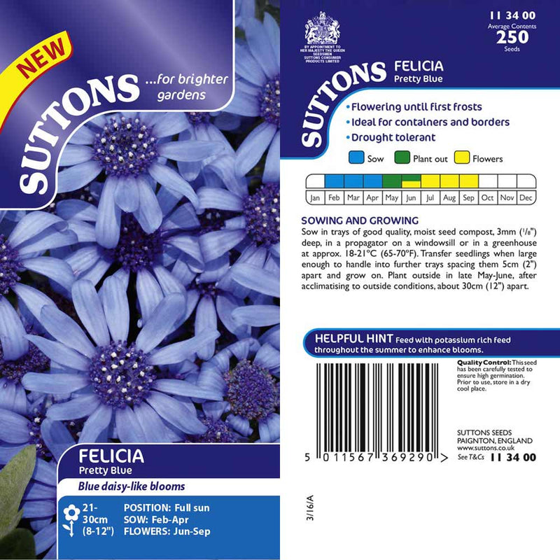 Suttons Felicia Pretty Blue G113400 - SEED VEG & FLOWER - Beattys of Loughrea