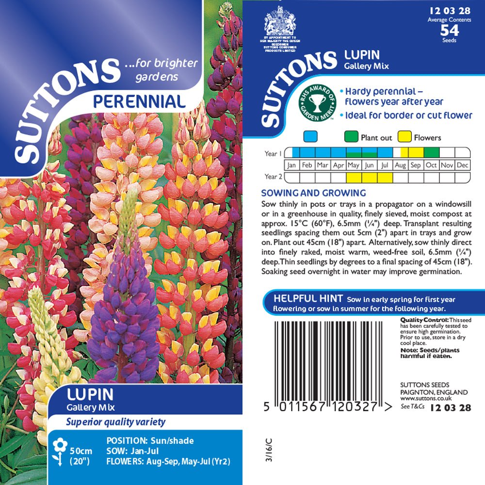 Suttons Lupin Gallery Mix G120328 - SEED VEG & FLOWER - Beattys of Loughrea