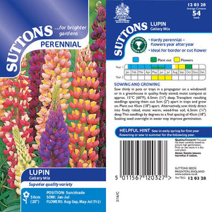 Suttons Lupin Gallery Mix G120328 - SEED VEG & FLOWER - Beattys of Loughrea