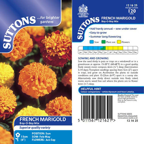 Suttons Marigold French Boy O Boy Mixed 121625 - SEED VEG & FLOWER - Beattys of Loughrea