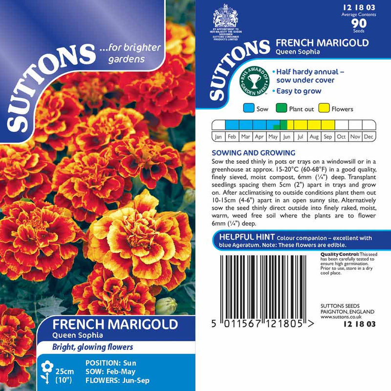 Suttons French Marigold Queen Sophia G121803 - SEED VEG & FLOWER - Beattys of Loughrea