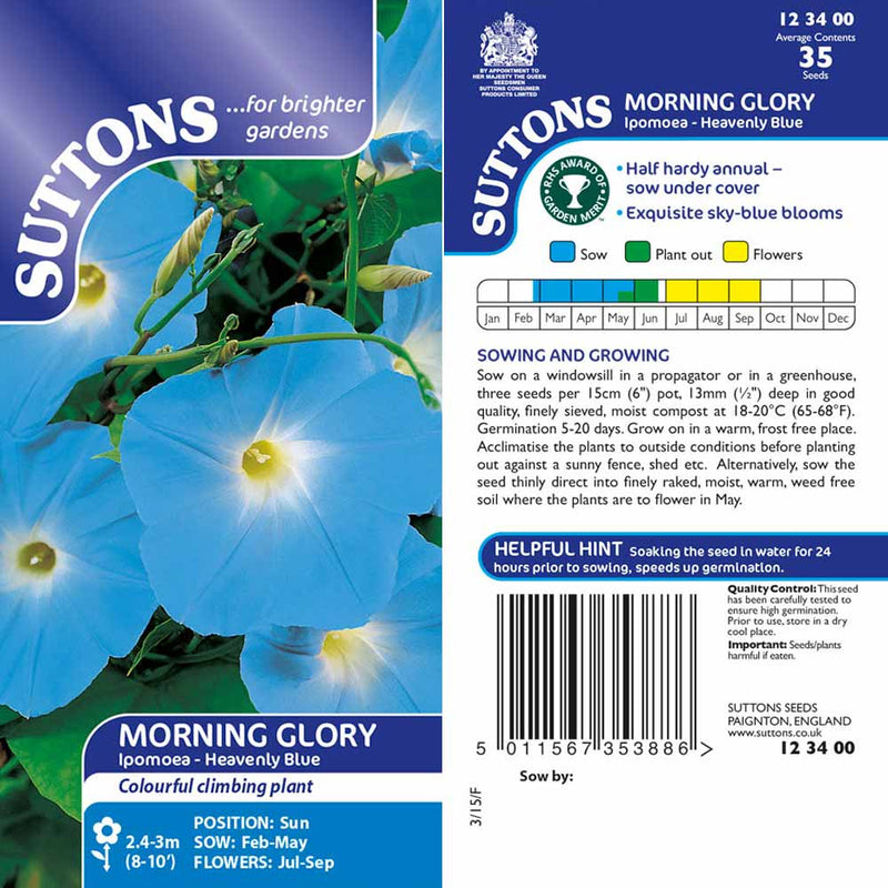 Suttons Morning Glory Ipomea Heavenly Blue - SEED VEG & FLOWER - Beattys of Loughrea