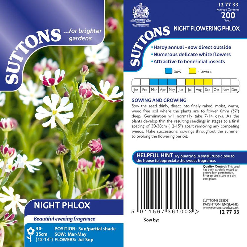Suttons Phlox Night Flowering - SEED VEG & FLOWER - Beattys of Loughrea