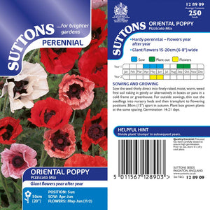 Suttons Poppy Oriental Pizzicato Mix G128909 - Beattys of Loughrea | www.beattys.ie
