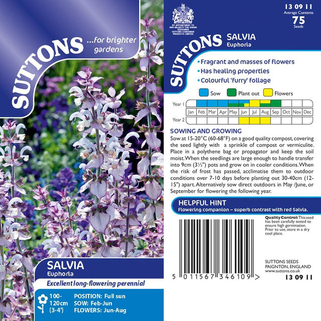 Suttons Salvia Euphoria - Beattys of Loughrea | www.beattys.ie