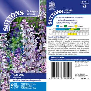 Suttons Salvia Euphoria - Beattys of Loughrea | www.beattys.ie
