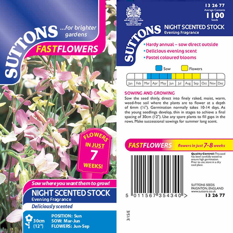 Suttons Stock Night Scented Evening Fragrance - SEED VEG & FLOWER - Beattys of Loughrea