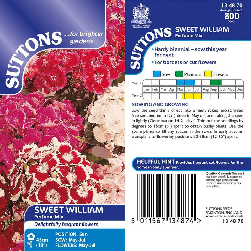 Suttons Sweet William Perfume Mix 134870 - SEED VEG & FLOWER - Beattys of Loughrea