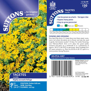 Suttons Tagetes Lucida - SEED VEG & FLOWER - Beattys of Loughrea