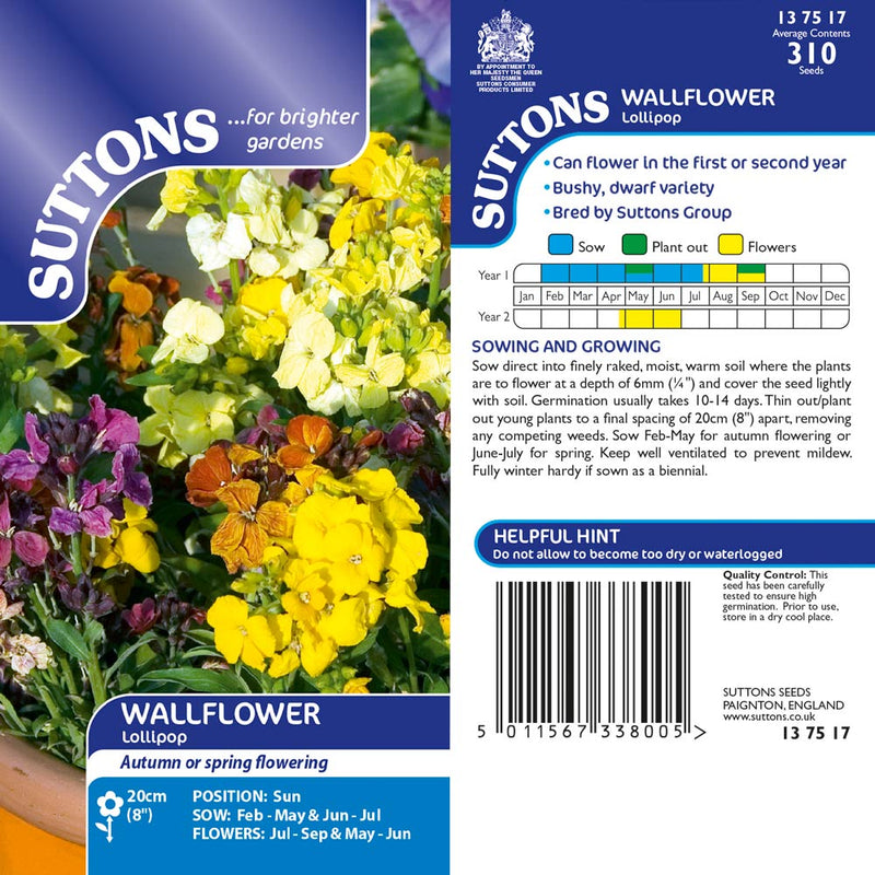 Suttons Wallflower Lollipop - SEED VEG & FLOWER - Beattys of Loughrea