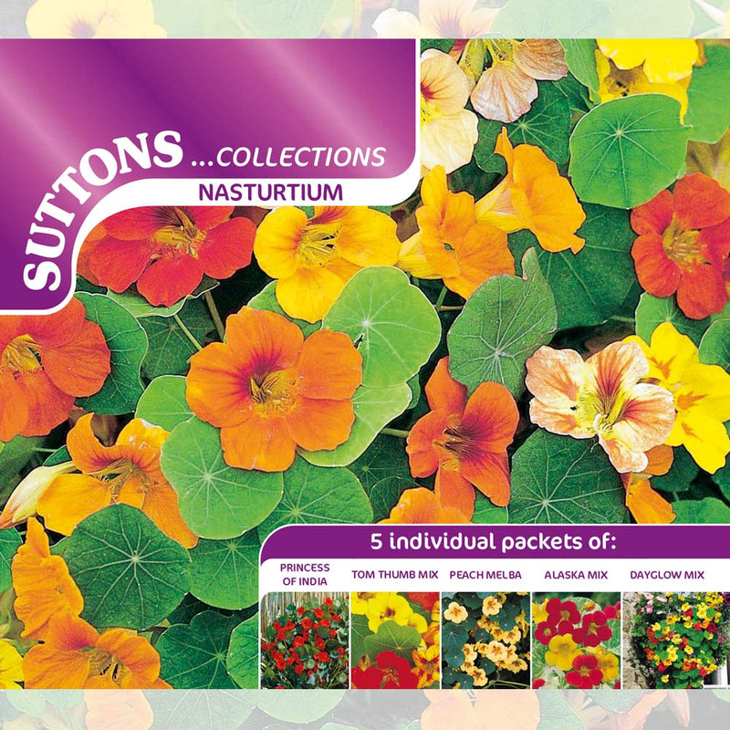 Suttons Nasturium Collection 139827 - SEED VEG & FLOWER - Beattys of Loughrea