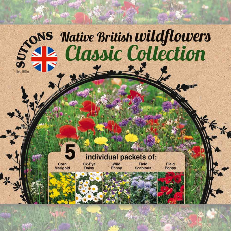 Suttons Wildflower Collection - SEED VEG & FLOWER - Beattys of Loughrea