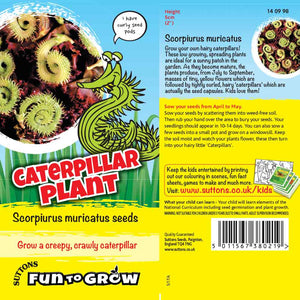 Suttons Caterpillar Plant (Scorpiurus Muricatus) Ftg - SEED VEG & FLOWER - Beattys of Loughrea