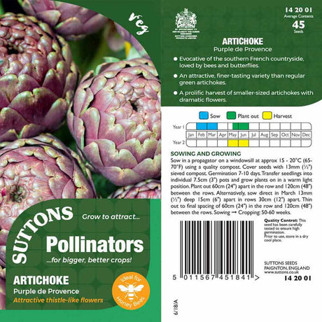 Suttons Artichoke Purple De Provence Pp - SEED VEG & FLOWER - Beattys of Loughrea