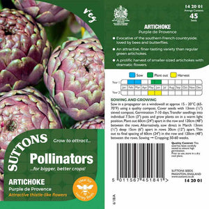 Suttons Artichoke Purple De Provence Pp - SEED VEG & FLOWER - Beattys of Loughrea