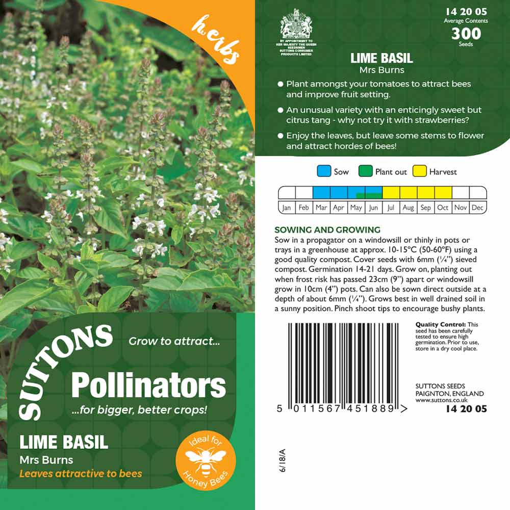 Suttons Lime Basil Mrs Burns Pp - SEED VEG & FLOWER - Beattys of Loughrea