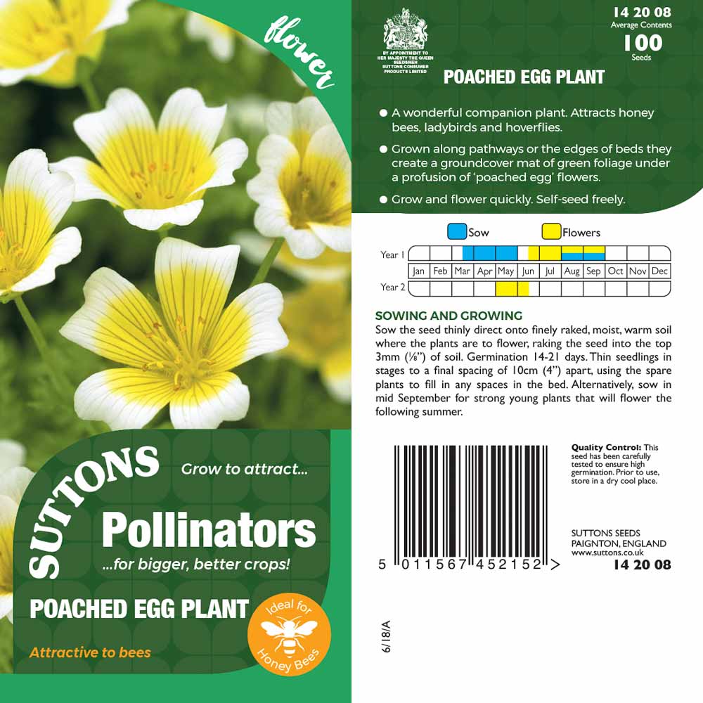 Suttons Poached Egg Plant Pp - SEED VEG & FLOWER - Beattys of Loughrea