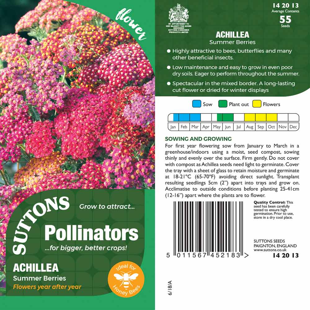 Suttons Achilleasummer Berries Pp - SEED VEG & FLOWER - Beattys of Loughrea