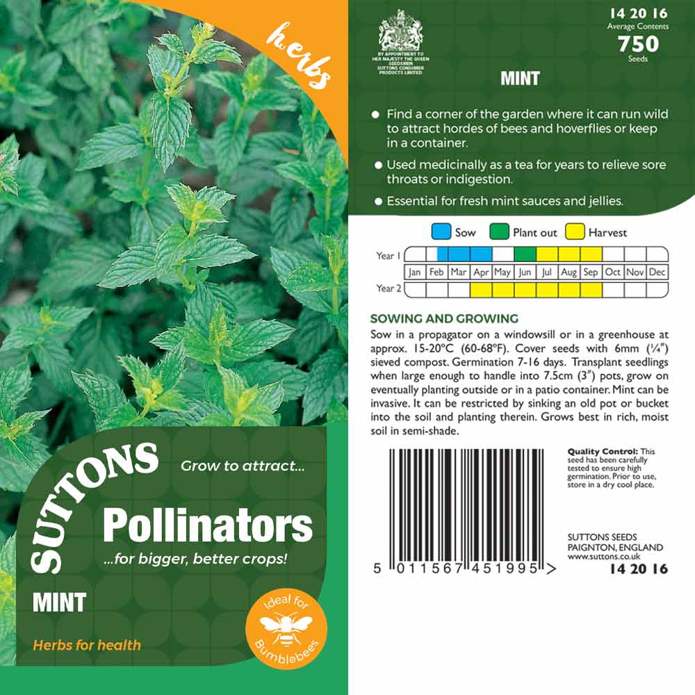 Suttons Mint Pp - SEED VEG & FLOWER - Beattys of Loughrea