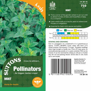 Suttons Mint Pp - SEED VEG & FLOWER - Beattys of Loughrea