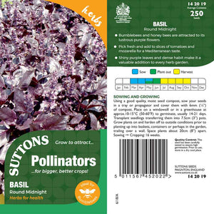 Suttons Basil Round Midnight Pp - SEED VEG & FLOWER - Beattys of Loughrea