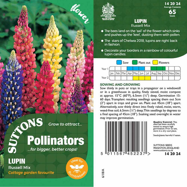Suttons Lupin Russell Pp - SEED VEG & FLOWER - Beattys of Loughrea