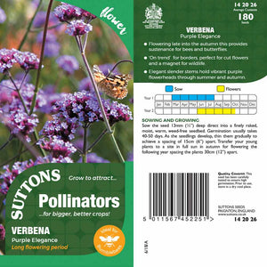 Suttons Verbena Purple Elegance Pp - SEED VEG & FLOWER - Beattys of Loughrea