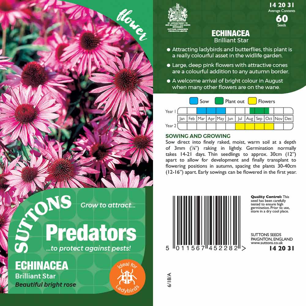 Suttons Echinacea Brilliantstar Pp - SEED VEG & FLOWER - Beattys of Loughrea