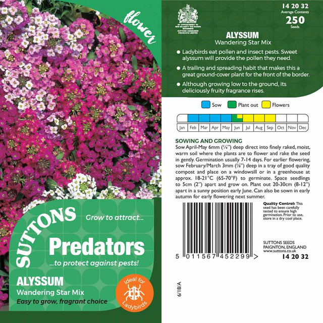 Suttons Alyssum Wanderingstar Pp - SEED VEG & FLOWER - Beattys of Loughrea