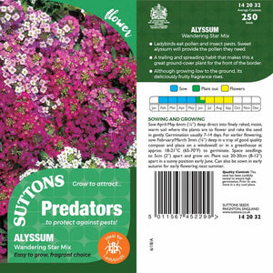 Suttons Alyssum Wanderingstar Pp - SEED VEG & FLOWER - Beattys of Loughrea