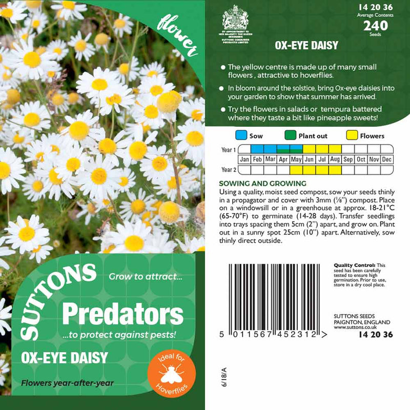 Suttons Ox Eye Daisy Pp - SEED VEG & FLOWER - Beattys of Loughrea