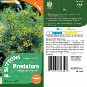 Suttons Dill Pp - SEED VEG & FLOWER - Beattys of Loughrea
