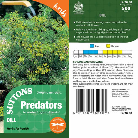 Suttons Dill Pp - SEED VEG & FLOWER - Beattys of Loughrea
