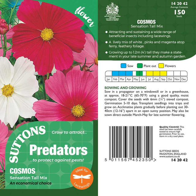Suttons Cosmossensation Tall Pp - SEED VEG & FLOWER - Beattys of Loughrea