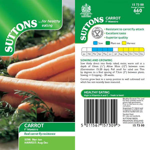 Suttons Carrot Maestro 157300 - SEED VEG & FLOWER - Beattys of Loughrea