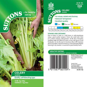 Suttons Celery Loretta G160152 - SEED VEG & FLOWER - Beattys of Loughrea