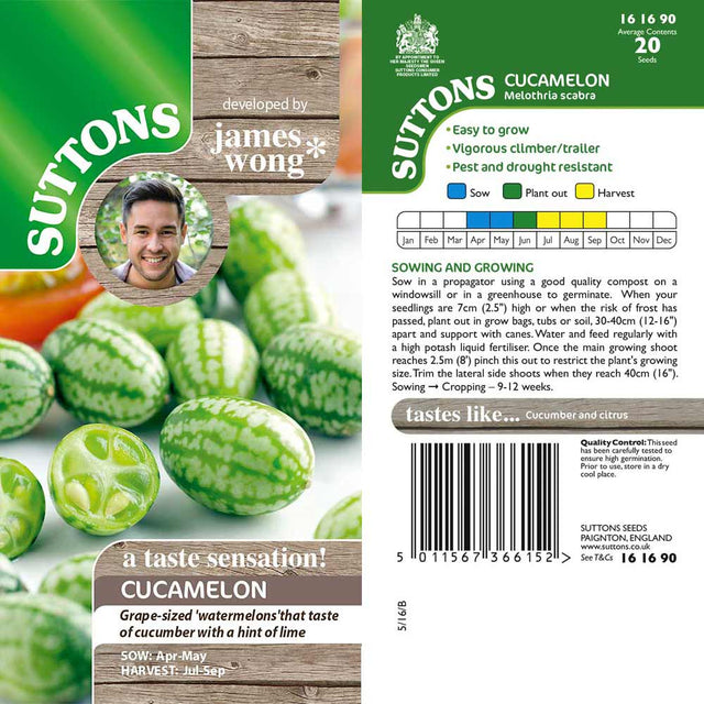 Suttons Cucamelon - SEED VEG & FLOWER - Beattys of Loughrea