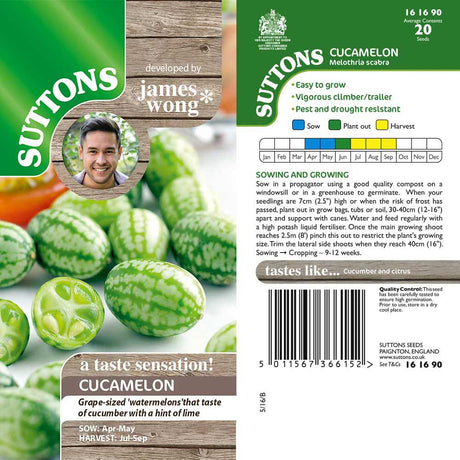 Suttons Cucamelon - SEED VEG & FLOWER - Beattys of Loughrea