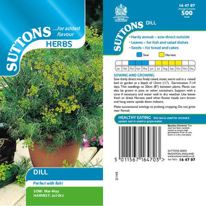 Suttons Herb Dill 164707 - SEED VEG & FLOWER - Beattys of Loughrea
