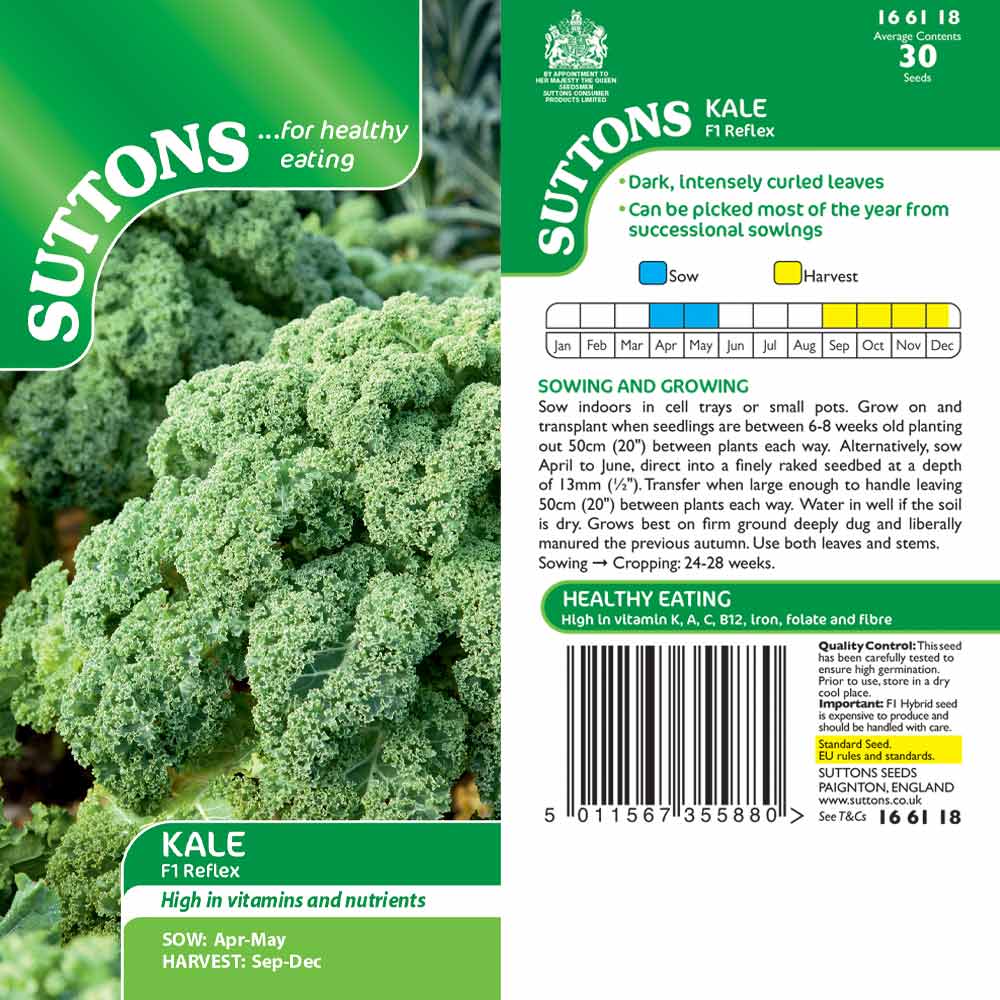 Suttons Kale Reflex F1 G166118 - SEED VEG & FLOWER - Beattys of Loughrea