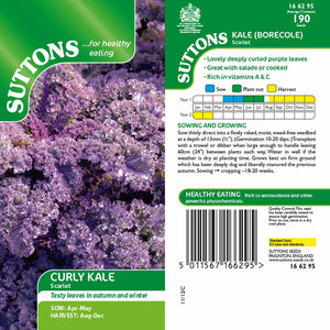 Suttons Kale Scarlet 166295 - SEED VEG & FLOWER - Beattys of Loughrea